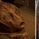 The-Mummified-Remains-of-a-Giant-Alien-Was-Unearthed-in-China (1)