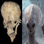 the-unusual-alien-skulls-found-in-africa-may-alter-the-course-of-history